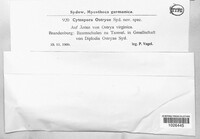 Image Associated With the Occurence
